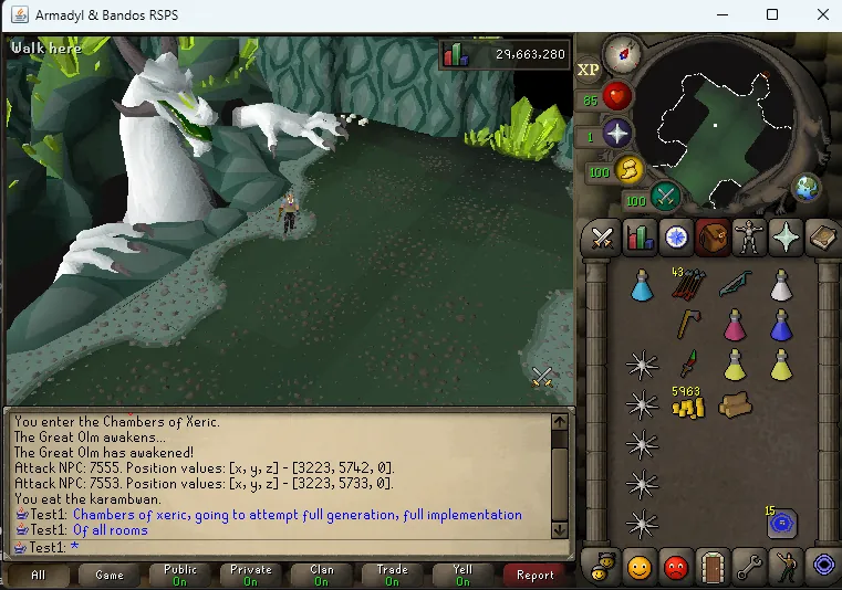 The Great Olm in the Chambers of Xeric raid, an Old School Runescape Private Server